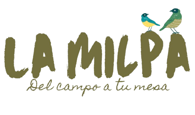 img 0234 removebg preview