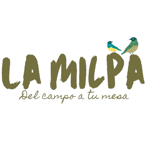 logo ave ilustrado verde.pdf removebg preview